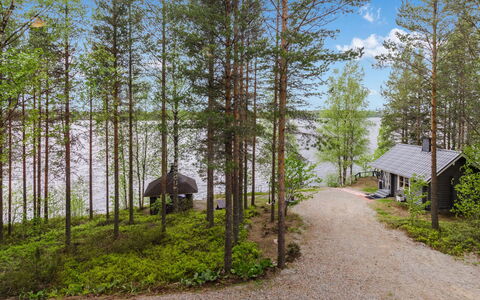 Hatun Huilaus: Arbre, Communauté Des Plantes, Des Bois, Forêt, Tronc, Chalet, Bosquet, Mélèze