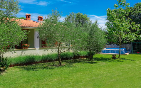 Corina: Plante, Nuage, Ciel, Arbre, Paysage Naturel, Bâtiment, Lot Terre, Herbe, Zone Résidentielle, Arbuste