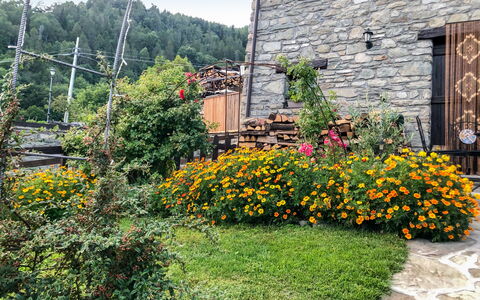 Maison chez Nous: Plante, Fleur, Propriété, Communauté Des Plantes, Bâtiment, Ciel, Fenêtre, Végétation, Porte, Herbe