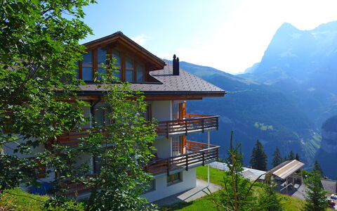 Mürren 300: Ciel, Bâtiment, Montagne, Fenêtre, Paysage Naturel, Maison, Plante, Arbre, Herbe, Chalet