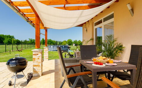 Paola: Plante, Table, Meubles, Propriété, Bâtiment, Ciel, Chaise, Ombre, Orange, Plante D'Appartement