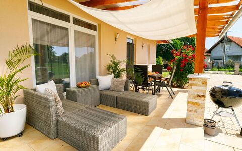 Paola: Plante, Plante D'Appartement, Pot De Fleur, Design Intérieur, Confort, Salon, Ombre, Sol, Mur, Sol