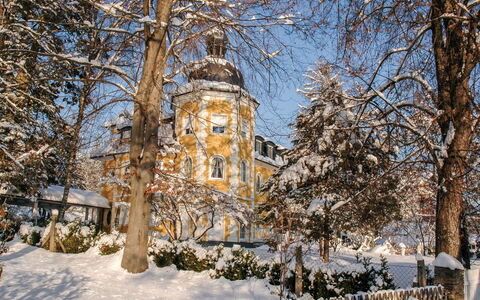 Klopeiner See 50: Neige, L'Hiver, Point De Repère, Arbre, Gelé, Architecture, Bâtiment, Église, Plante, Branche