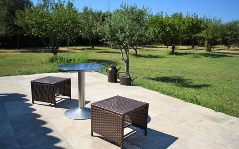 L'Oliveraie: Propriété, Herbe, Arbre, Table, Parc, Meubles, Pelouse, Architecture, Conception, Maison
