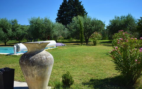 L'Oliveraie: Jardin, Arbre, Herbe, Botanique, Sculpture, Famille Grass, Arbuste, Plante, Pot De Fleur, Aménagement Paysager