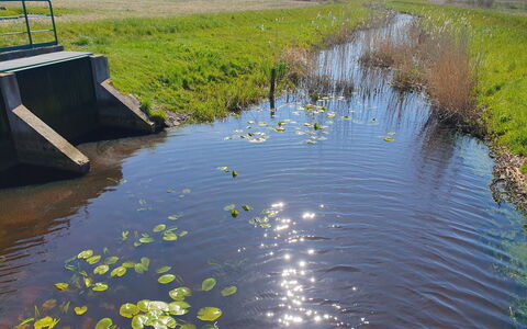 Zakątek Ventus i: L'Eau, Ressources En Eau, Plante, Paysage Naturel, Plan D'Eau, Cours D'Eau, Lac, Biome, Herbe