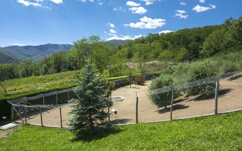 Cantiniere: Nuage, Plante, Ciel, Communauté Des Plantes, Écorégion, Arbre, Paysage Naturel, Montagne, Lot Terre, Ombre