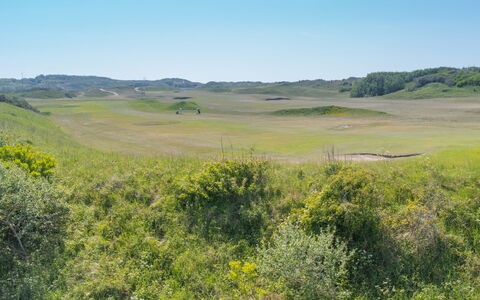 Wanderlust with Garage: Ciel, Plante, Communauté Des Plantes, Paysage Naturel, Lot Terre, Agriculture, Herbe, Plaine, Prairie, Arbre