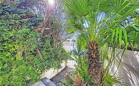 Marinas Beach: Végétation, Suppression Des Plantes Ligneuses, Jardin, Tropiques, Jardin Botanique