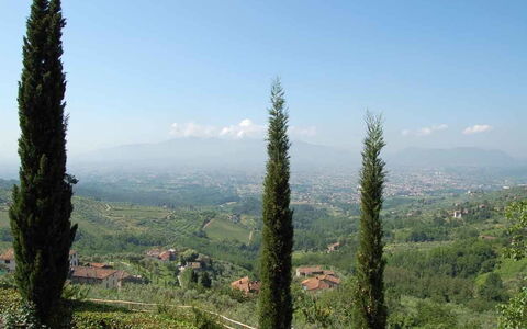 Borgo Antico Marina: Arbre, Station De Montagne, Végétation, Conifères Tropicale Et Subtropicale Forêts, Région Sauvage, Biome, Plante, Communauté Des Plantes, Forêt, Montagne