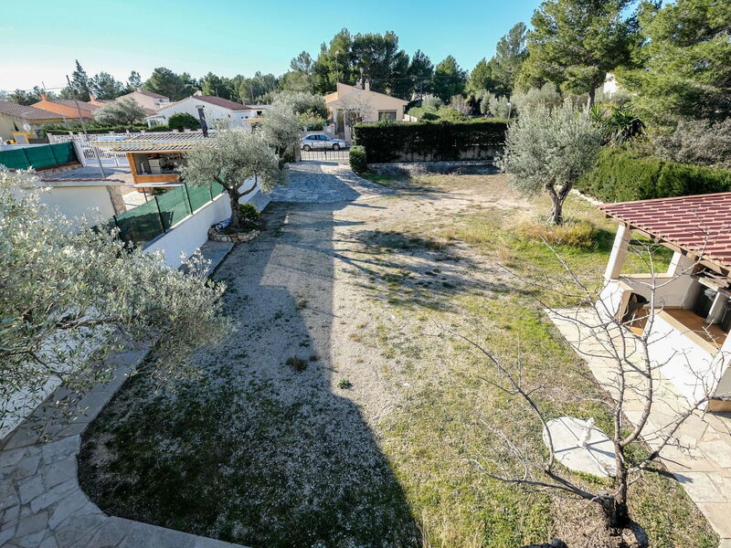 Olivos
