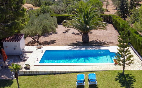 Reny: Piscine, Propriété, Herbe, Maison, Villa, Immobilier, Arbre, Recours, Bâtiment, Palmier