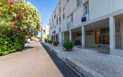 Les Roses Lauriers: Plante, Jour, Bâtiment, Propriété, Fenêtre, Ciel, Fleur, Surface De La Route, Architecture, Design Urbain