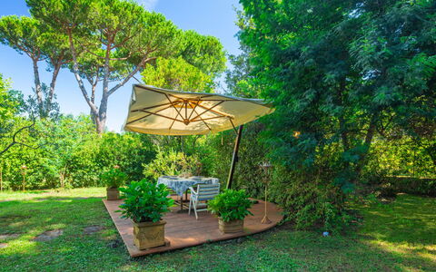 Madda: La Nature, Propriété, Vert, Immobilier, Paysage Naturel, Maison, Arbre, Herbe, Architecture, Botanique