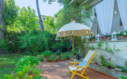 Madda: Plante, Meubles, Vert, Feuille, Parapluie, Ombre, Mobilier De Jardin, Arbre, Bâtiment, Herbe
