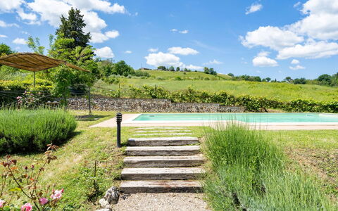 Villa Alba: Paysage Naturel, Végétation, La Nature, Réserve Naturelle, Herbe, Jardin Botanique, Ciel, Passerelle, Environnement Naturel, Étang
