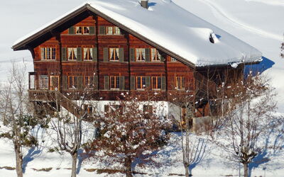 Chalet Ahorni
