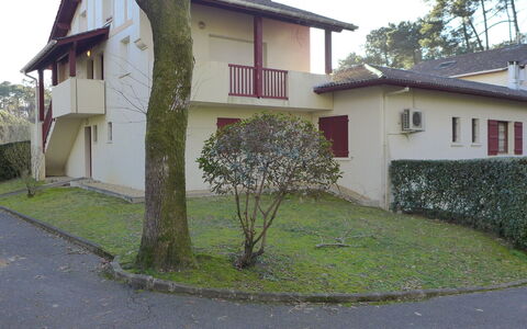 Les Écureuils: Plante, Bâtiment, Ciel, Fenêtre, Arbre, Maison, Lot Terre, Quartier, Chalet, Asphalte