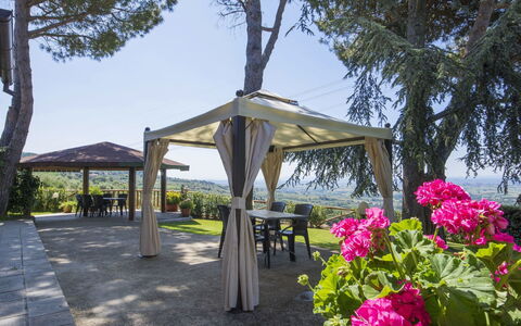 Giglio: Belvédère, Canopée, Pavillon, Pergola, Fleur, Printemps, Ombre, Plante, Structure En Plein Air, Arbre
