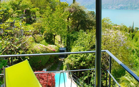 San Nazzaro 25: Végétation, Vert, Propriété, Paysage Naturel, Réserve Naturelle, Immobilier, Arbre, Architecture, Botanique, Loisir