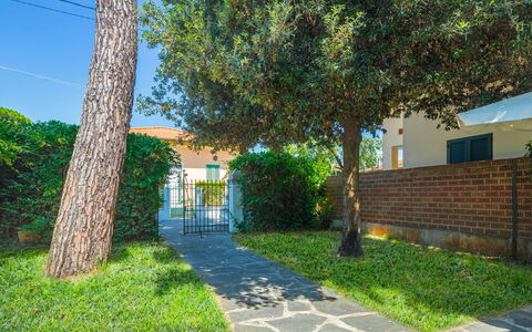Anita: Plante, Bâtiment, Ciel, Surface De La Route, Arbre, Ombre, Herbe, Lot Terre, Brique, Maison