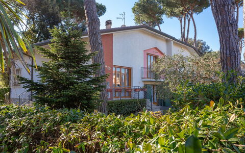 Patrizia: Plante, Ciel, Bâtiment, Propriété, Communauté Des Plantes, Fenêtre, Arbre, Maison, Végétation, Arecales