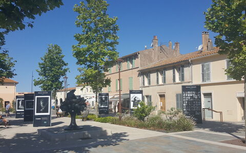 Bella Vista: Ciel, Plante, Bâtiment, Propriété, Fenêtre, Arbre, Surface De La Route, Maison, Design Urbain, Quartier
