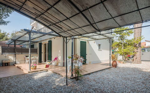 Marina Pietrasanta 255: Plante, Bâtiment, Ombre, Fenêtre, Façade, Faisceau, Design Urbain, Plafond, Ville, Arbre