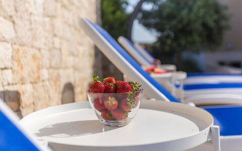 Roko: Aliments, Vaisselle, Table, Vaisselle, Assiette, Bleu, Cuisine, Fruit, Serveware