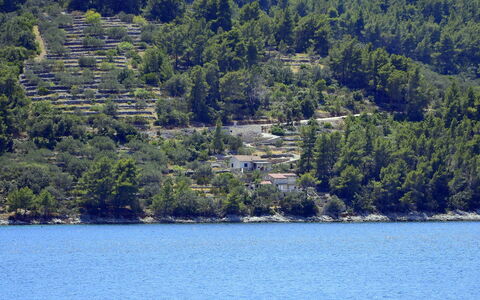 Flora: Plan D'Eau, L'Eau, Ressources En Eau, La Nature, Lac, Arbre, Végétation, Région Sauvage, Réserve Naturelle, Du Son