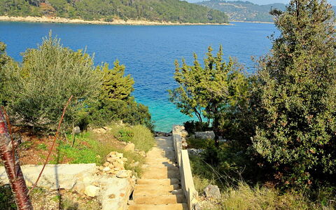 Flora: L'Eau, Ciel, Nuage, Ressources En Eau, Bleu Azur, Arbre, Paysage Naturel, Plage, Cotiers Et Relief Océaniques, Plante