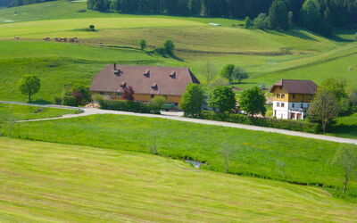Vöhrenbach 100