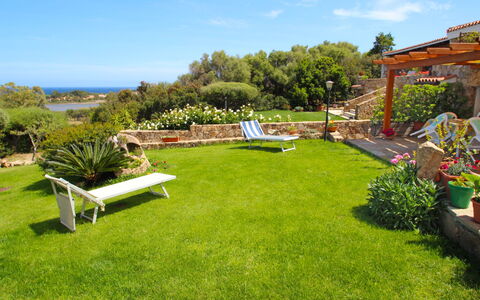 Viola: Propriété, Pelouse, Herbe, Jardin, Cour, Arrière-Cour, Immobilier, Lot Terre, Maison, Paysage