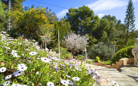 Lolita: La Nature, Végétation, Fleur, Jardin, Plante, Wildflower, Arbre, Botanique, Printemps, Région Sauvage