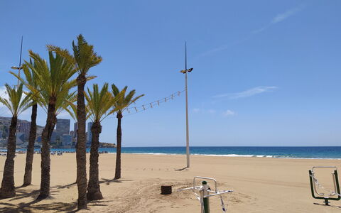 Las Palmeras: Plage, Arbre, Ciel, Palmier, Mer, Rive, Arecales, Vacances, Océan, Le Sable