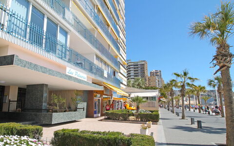 Las Palmeras: Bâtiment, Usage Mixte, Propriété, Condominium, Zone Métropolitaine, Immobilier, Architecture, Appartement, Bâtiment Commercial, Quartier