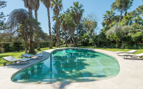 Giulia: L'Eau, Plante, Piscine, Ciel, Arbre, Arecales, Ombre, Mobilier De Jardin, Herbe, Immobilier