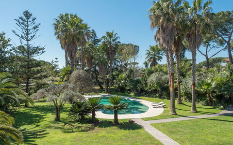 Giulia: Plante, Ciel, Communauté Des Plantes, Paysage Naturel, Arbre, Terrestre Des Plantes, Lot Terre, Arecales, Herbe, Paysage