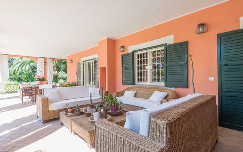Giulia: Plante, Propriété, Meubles, Plante D'Appartement, Pot De Fleur, Canapé, Bois, Porte, Ombre, Design Intérieur