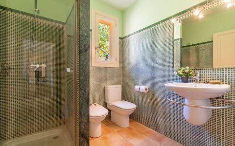 Son Maguet: Luminaire Plomberie, Propriété, Robinet, Plante, Vert, Baignoire, Salle De Bains, Évier, Violet