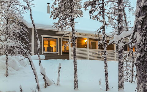 Hilla B: Bois, Neige, L'Hiver, Domicile, Gelé, Chalet, Brindille, Dur, Cabane En Rondins