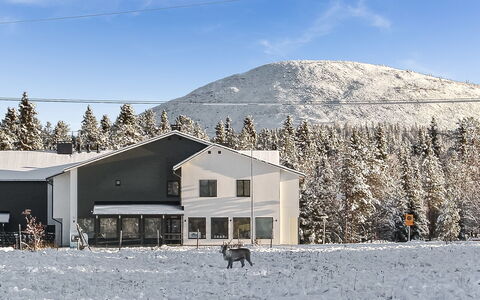 Lapland Happiness Skistar 201: Meubles, Chaise, Mobilier De Jardin, Table, Bois, Tableau De Plein Air, Table Cuisine Et Salle A Manger, Ombre, Jardin, Parapluie