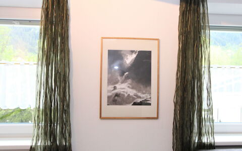 Am Ziller: Plante, Vert, Bois, Cadre, Branche, Peindre, Rectangle, Design Intérieur, Art, Arbre