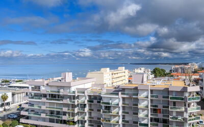 Logement:&nbsp;Port Arcachon 204.5