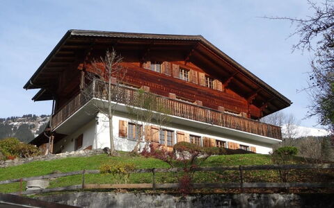 Steirösli 1. & 2. Stock: Neige, Bâtiment, Fenêtre, Gelé, Maison, Pente, Immobilier, Bois, Géologique Phénomène, Arbre