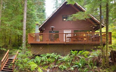 98Sl Cozy Cabin W Hot Tub