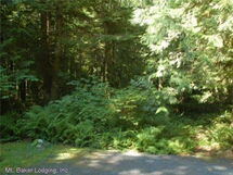 67mf Private Cabin Near Silver Lake