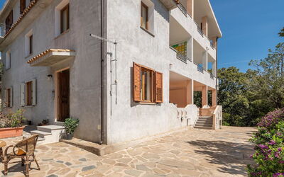 Casa Collodi
