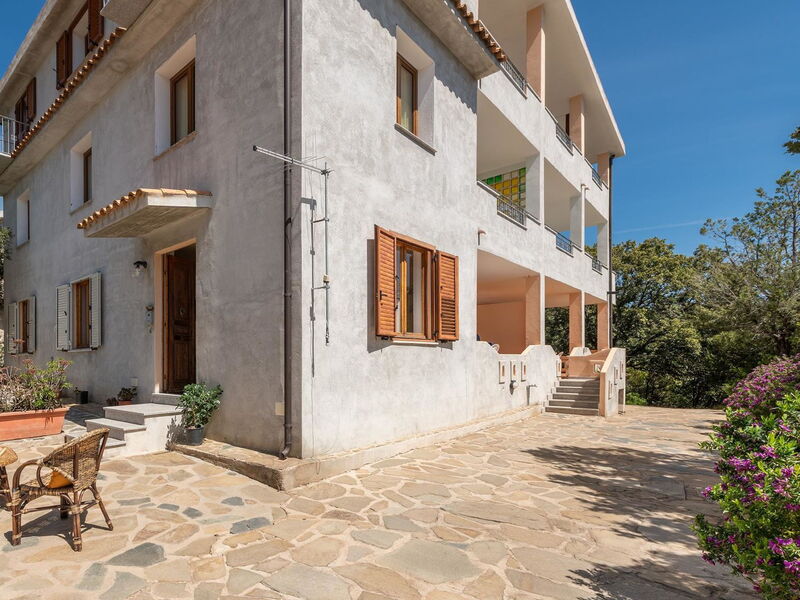 Casa Collodi
