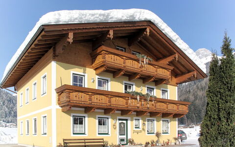 Gruber: Ciel, Bâtiment, Fenêtre, Neige, Arbre, Pente, Bois, Maison, Plante